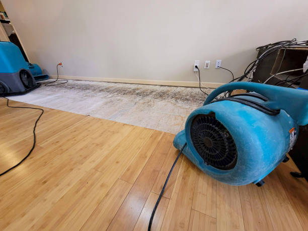 Professional Structural Drying technician working in Huntly, VA
